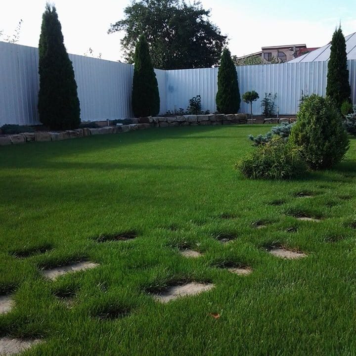 Gazon dens cu alee din dale și arbori ornamentali pe margine, într-un proiect de Peisagistică Profesională realizat de Era Everdene.